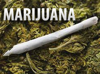Pass Marijuana Drug Test